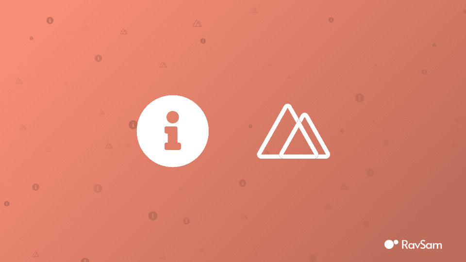 Creating an App Information Component in Nuxt