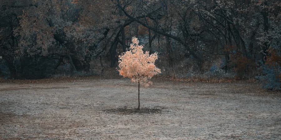 Authoring NPM Packages with Monorepos